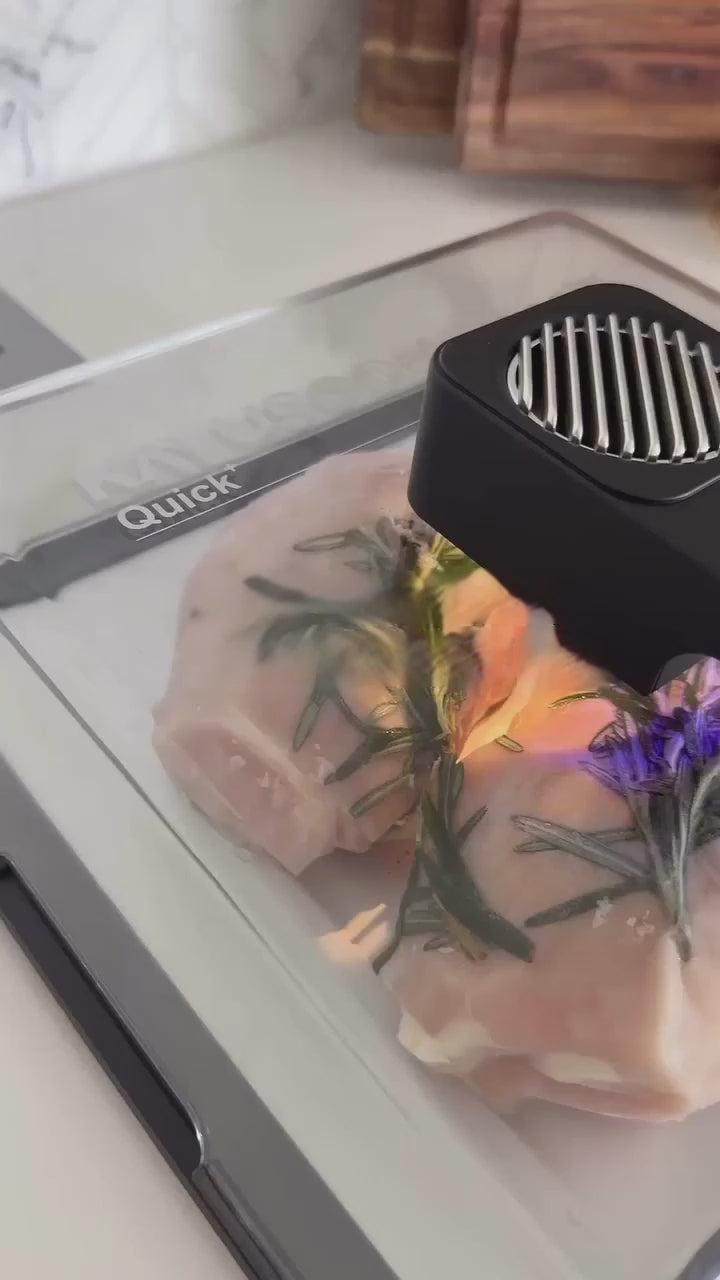 Electric Meat Rapid Preservation And Defrosting Tray